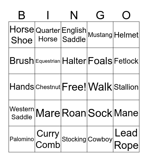 Circle C Ranch Bingo Card