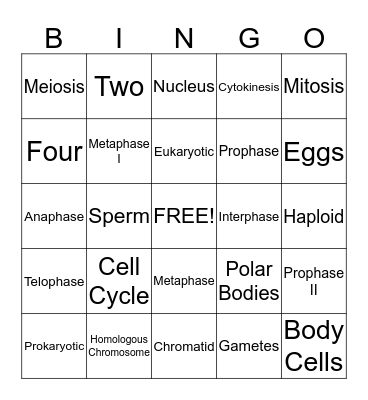 Cell Division Bingo Card