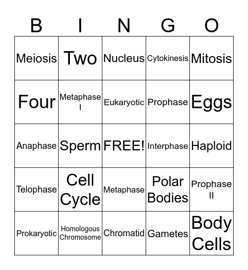 Cell Division Bingo Card