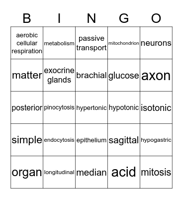 Part One Review Bingo Card