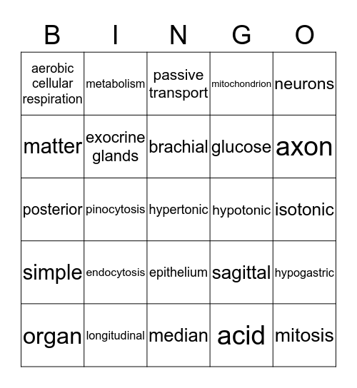 Part One Review Bingo Card