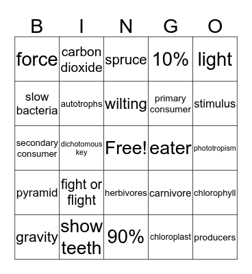 4th six weeks  Bingo Card