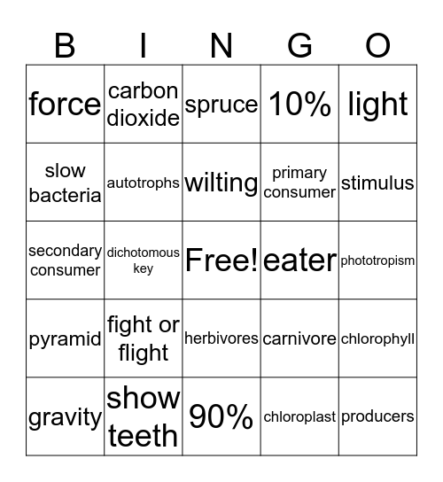 4th six weeks  Bingo Card