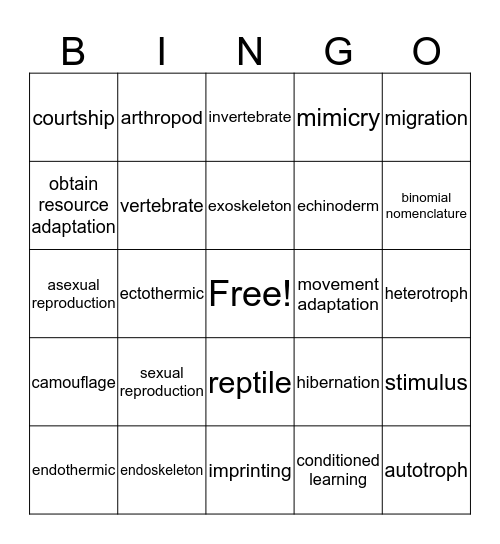 bingo card 4  Bingo Card