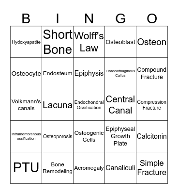 Chapters 6 terms Bingo Card