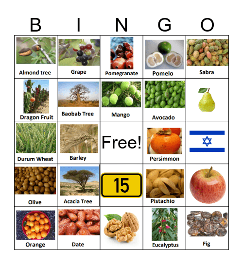 Tu B'Shevat Bingo Card