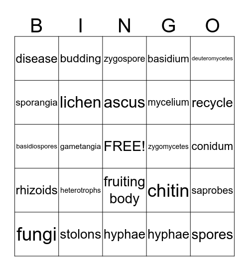 Fungi Bingo Card