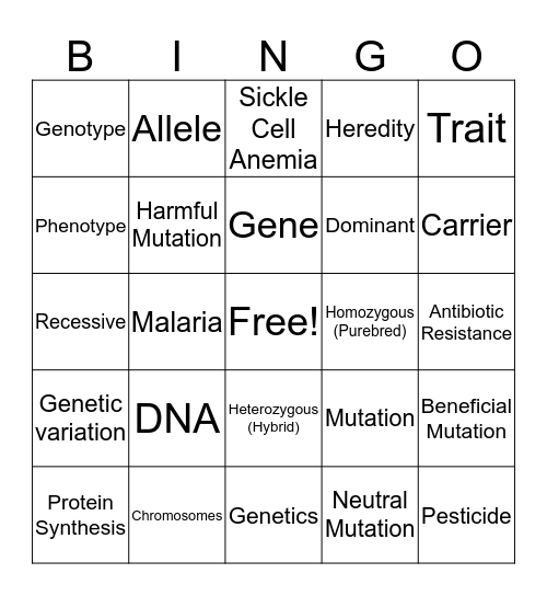 Unit 8: Heredity Bingo Card