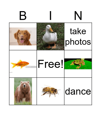 Animals and Hobbies Bingo Card