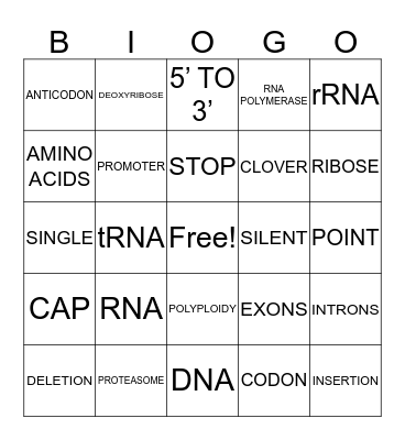 Bio 1 Honors RNA & Protein Synthesis Review Bingo Card