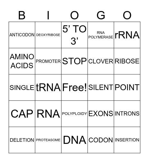 Bio 1 Honors RNA & Protein Synthesis Review Bingo Card
