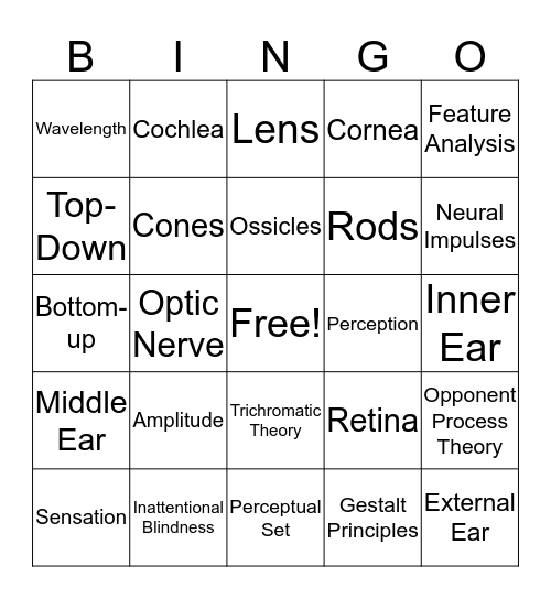 Chapter 4 Bingo Card