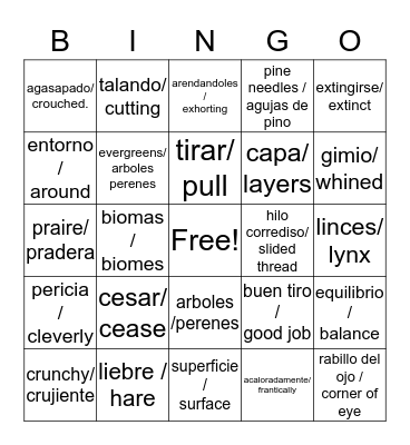 vocabulary bingo! Bingo Card