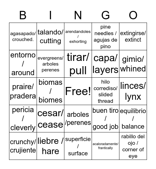 vocabulary bingo! Bingo Card