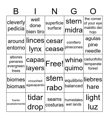 Vocabulary Bingo Card