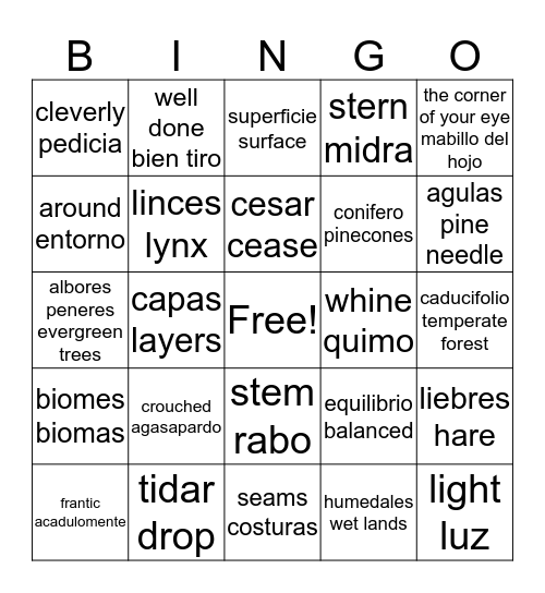 Vocabulary Bingo Card