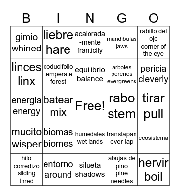 vocabulary bingo Card