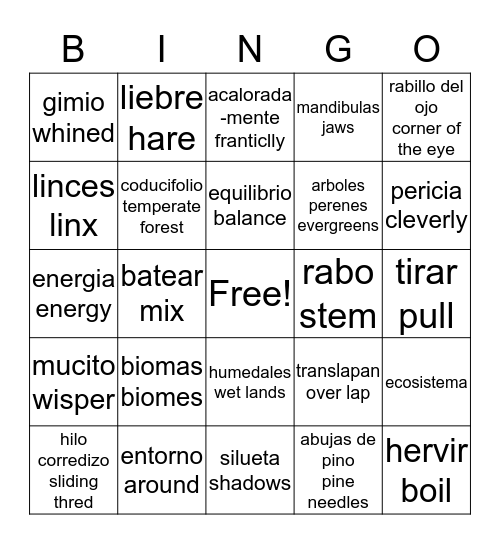 vocabulary bingo Card