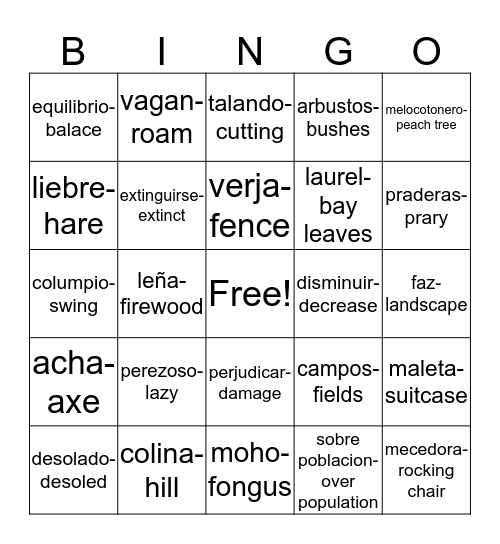 Vocabulario-Vocabulary Bingo Card