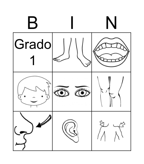 EL CUERPO Bingo Card