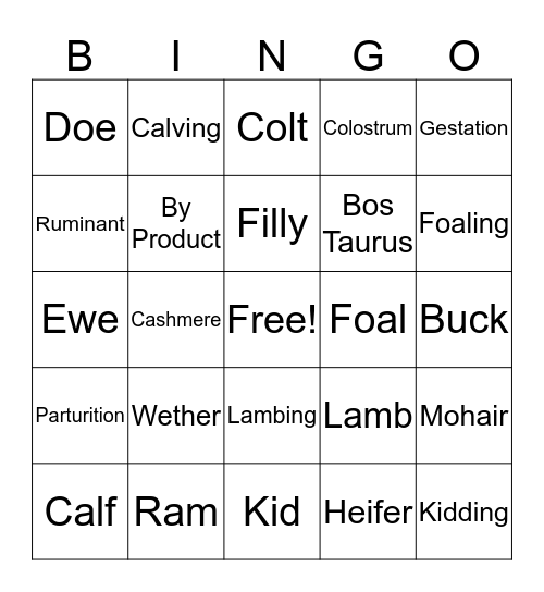 Basic Animal Science Terms 1 Bingo Card
