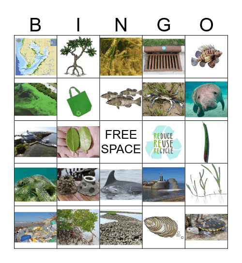 INTRODUCTION BINGO Card