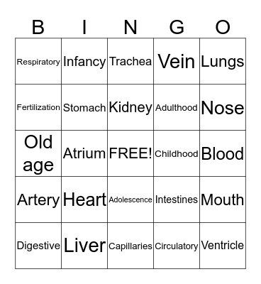 The Human Body Bingo Card