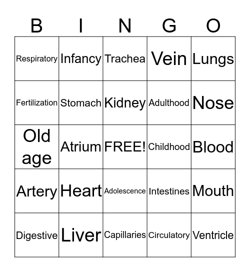 The Human Body Bingo Card