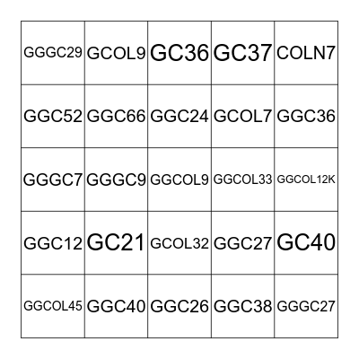 Haughey Reunion Family Code Bingo Card