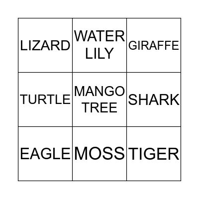 BINGO TIME! Bingo Card