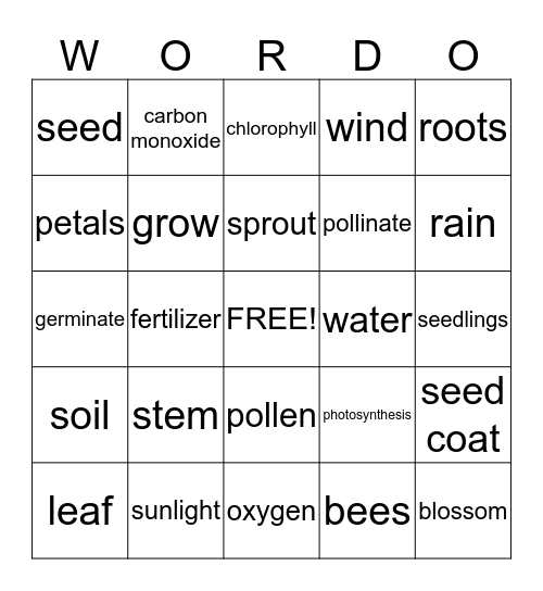 Plants Bingo Card