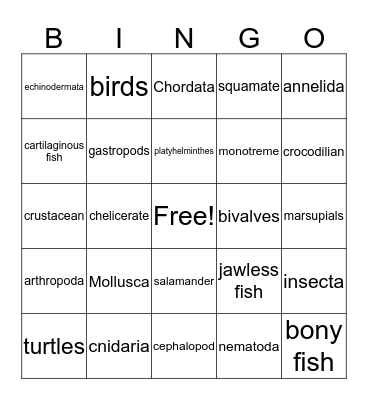 Animal Phylum Bingo Card