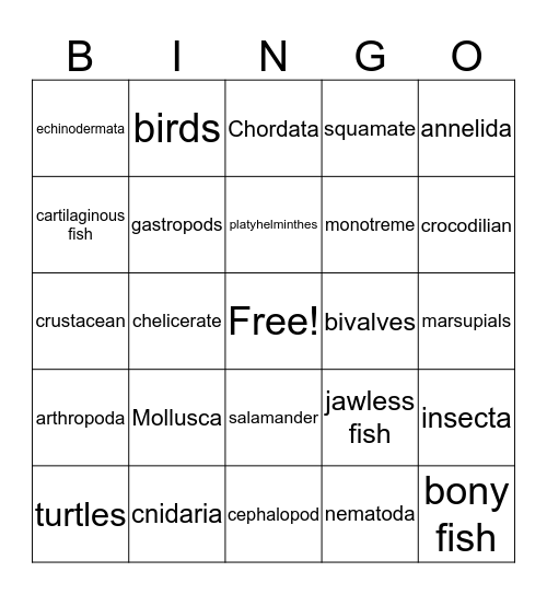 Animal Phylum Bingo Card
