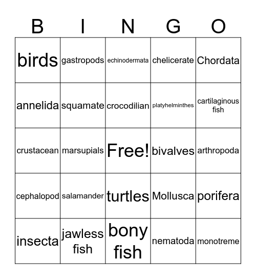 Animal Phylum Bingo Card