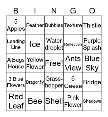 Focus on Nature Halton Gallery Bingo Card