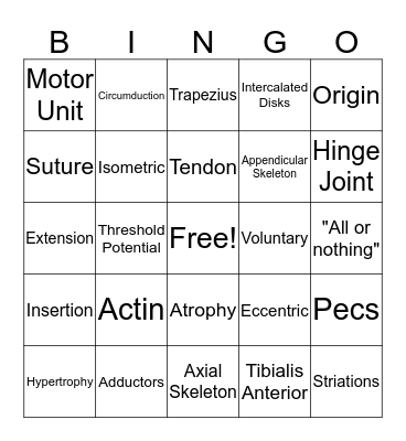 Muscular System Bingo Card