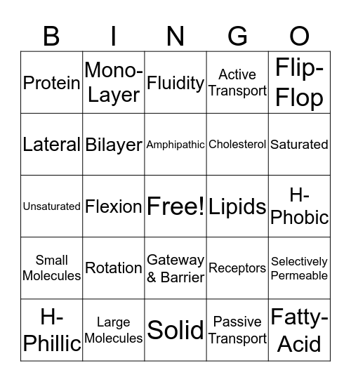 Membranes! Bingo Card