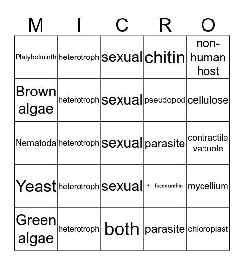 Eukaryotic Diversity Bingo Card