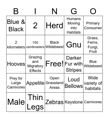 Wildebeest Bingo Card