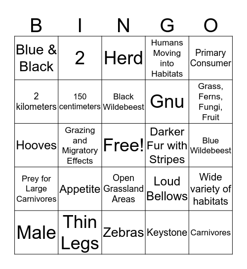 Wildebeest Bingo Card