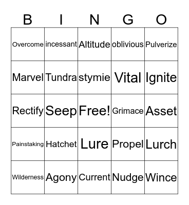 Hatchet Vocab Bingo Card