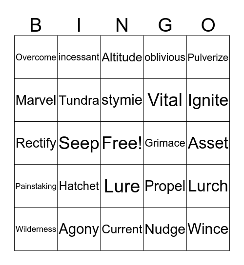 Hatchet Vocab Bingo Card