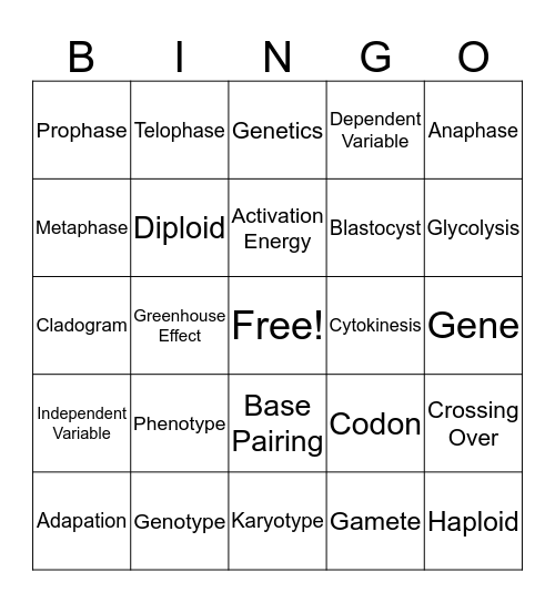 Science ACT 2 Bingo Card