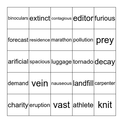 VOCABULARY BINGO Card