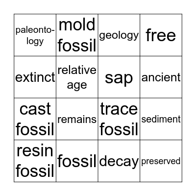 fossil vocabulary bingo Card