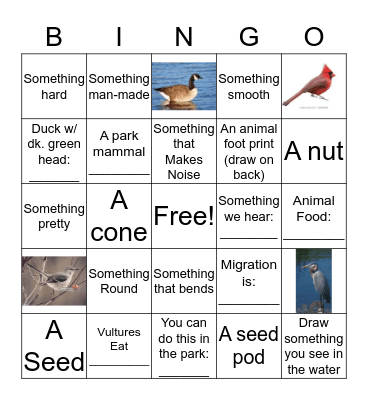 Kenilworth Aquatic Gardens Bingo Card