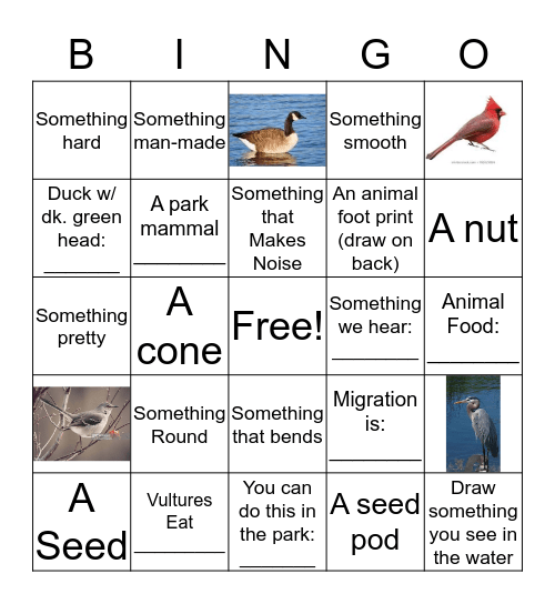 Kenilworth Aquatic Gardens Bingo Card