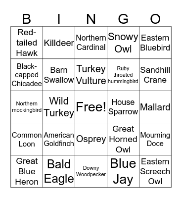 Bird Bingo Card