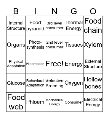 6 weeks review Bingo Card