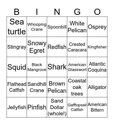 EVS 311 Port Aransas Bingo Card